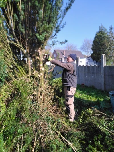 ADTouServices Antoine Delesalle Taille d un arbuste 2